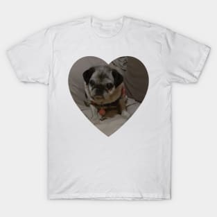 Millie Pug Dog T-Shirt